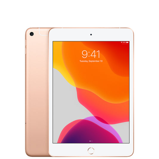 Apple iPad Mini	5th Gen	64GB	Wi-Fi	Gold MUQY2LL/A	A2133 (8.5/10)